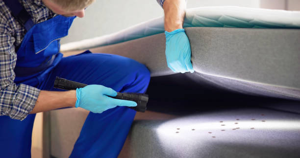 Flea Control Services in Granger, WA
